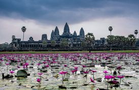 Camboja Fotos